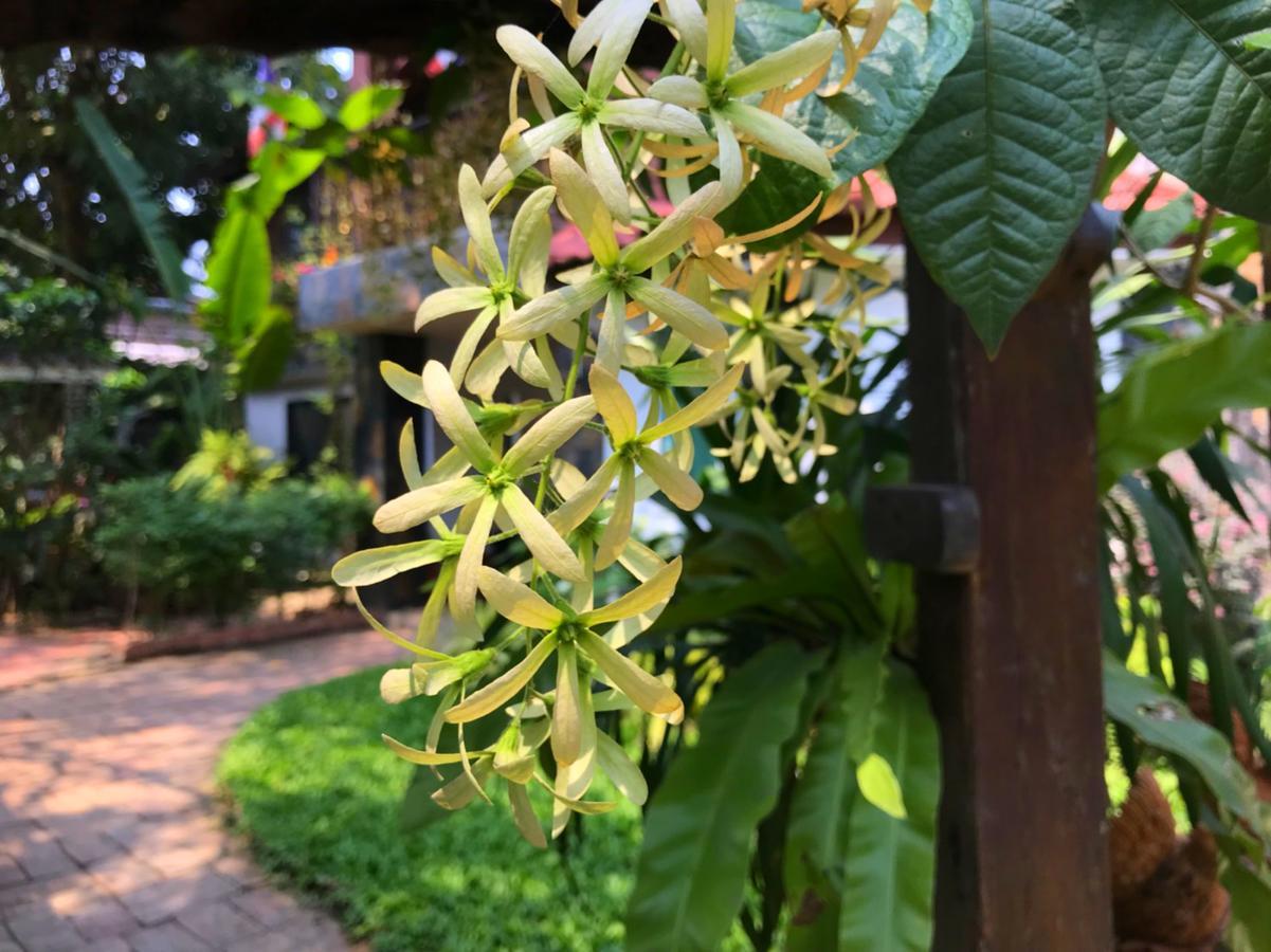 Moradok Thai Guesthouse Ayutthaya Bagian luar foto